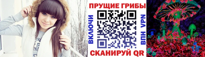 где купить   Зима  Галлюциногенные грибы MAGIC MUSHROOMS 