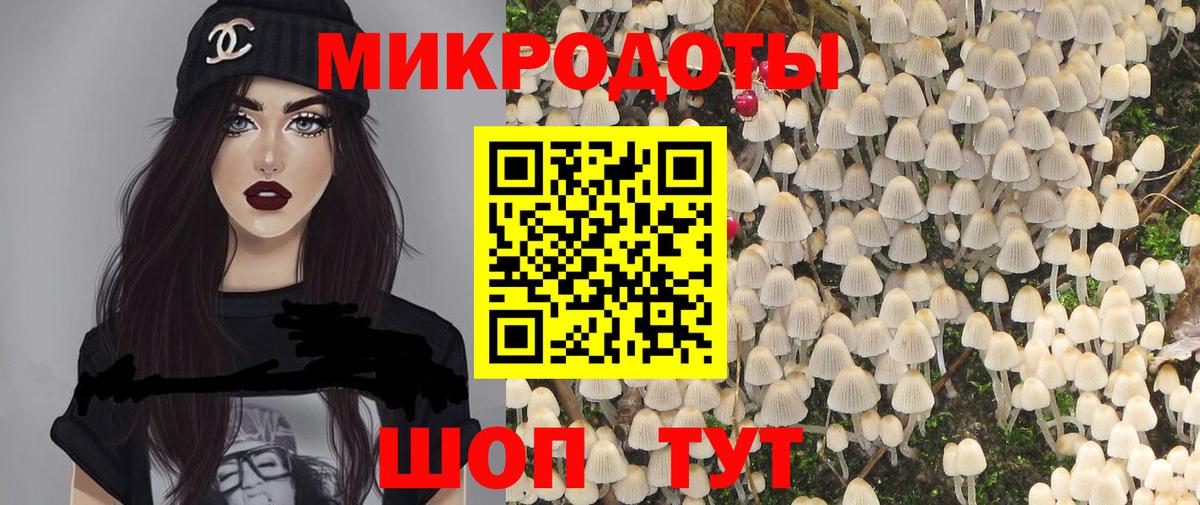 Галлюциногенные грибы мицелий Зима